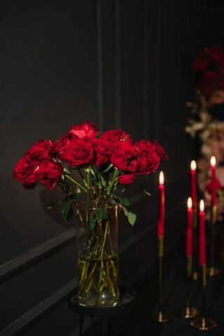 rose rouge amora lux